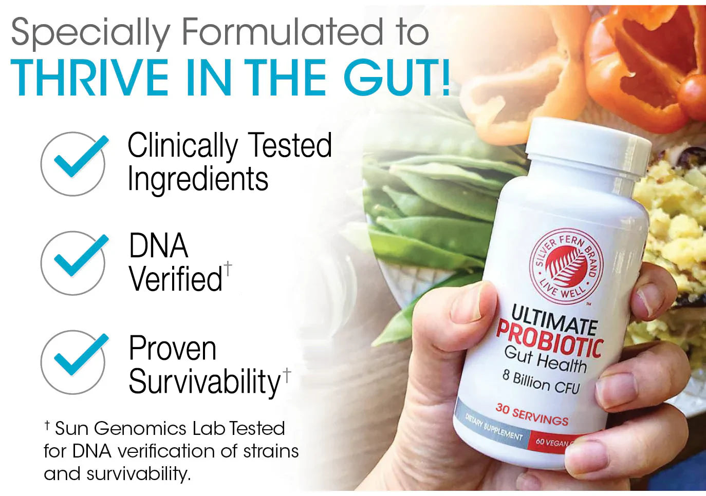 Ultimate Probiotic 8 Billion CFU – Spore-Forming, Shelf-Stable, Vegan Gut Health Supplement – 60 Capsules