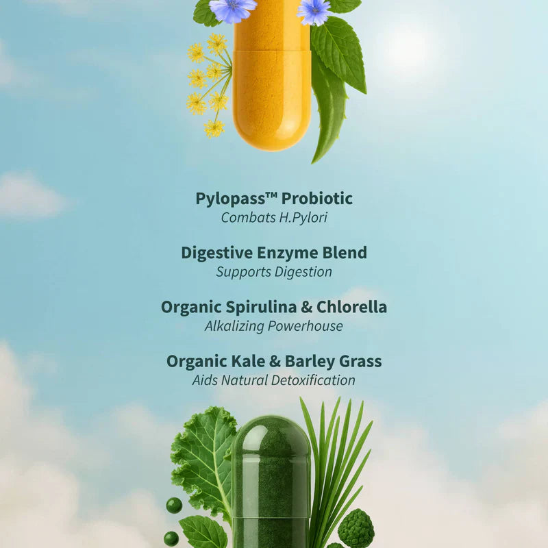 Gut Health Bundle